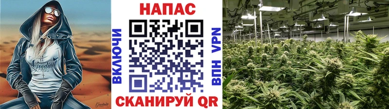дарнет шоп  Ак-Довурак  Бошки Шишки тримм 